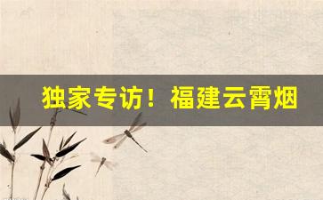 独家专访！福建云霄烟批发位置“慈航普渡”