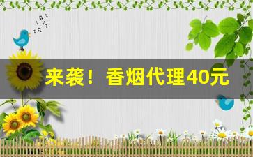 来袭！香烟代理40元低价货源“不分轩轾”