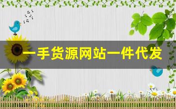 一手货源网站一件代发-一件代发全国最大的货源平台
