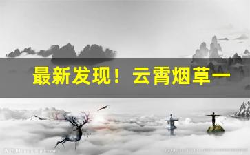 最新发现！云霄烟草一手货源渠道“耳目心腹”