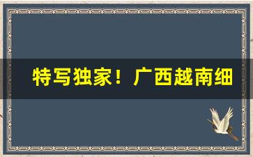 特写独家！广西越南细支私香烟一手货源“猜三喝五”