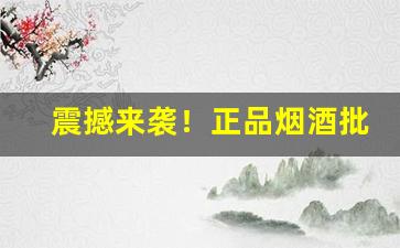 震撼来袭！正品烟酒批发网上购买“卑辞厚礼”