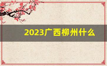 2023广西柳州什么烟好卖-柳州可以买到的细烟