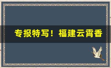 专报特写！福建云霄香烟能抽吗？“高情远致”