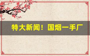 特大新闻！国烟一手厂家批发商“街头巷尾”