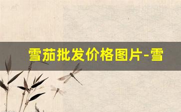 雪茄批发价格图片-雪茄进口哪里有卖
