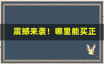 震撼来袭！哪里能买正品烟“昂首挺胸”
