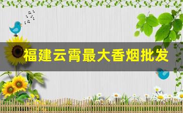 福建云霄最大香烟批发市场-云霄香烟工厂集中在哪里