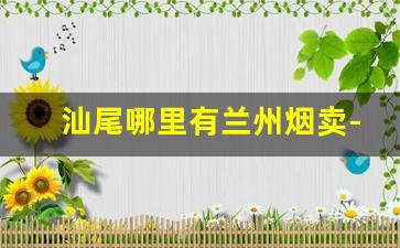 汕尾哪里有兰州烟卖-广东可以卖兰州烟吗