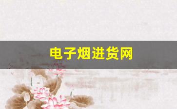 电子烟进货网
