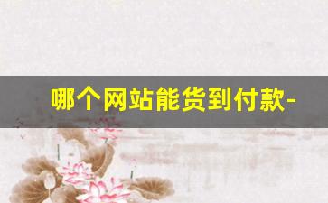 哪个网站能货到付款-官方货到付款