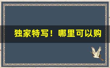 独家特写！哪里可以购买真烟“凤凰在笯”