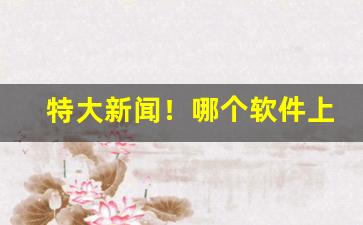 特大新闻！哪个软件上可以买外国烟“二分明月”