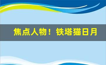 焦点人物！铁塔猫日月双爆哪里有卖“爱才好士”