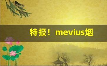 特报！mevius烟国内多少钱一条“发蒙振聩”