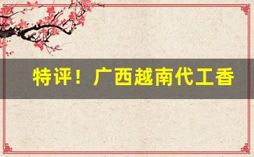 特评！广西越南代工香烟批发厂家一手免费代理“持人长短”