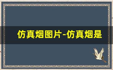 仿真烟图片-仿真烟是什么