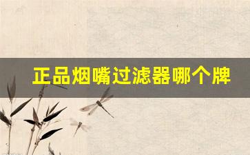 正品烟嘴过滤器哪个牌子好-烟嘴过滤器十大排名官方旗舰店
