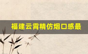 福建云霄精仿烟口感最好的中华是哪一款-什么烟跟泰山华贵味道差不多