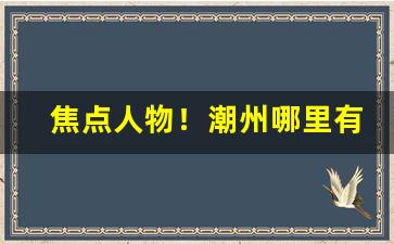 焦点人物！潮州哪里有一件代发“高亭大榭”