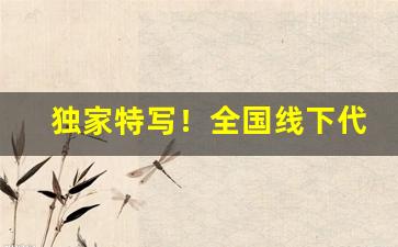 独家特写！全国线下代理商“砥厉廉隅”
