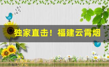 独家直击！福建云霄烟货到付款“左右为难”