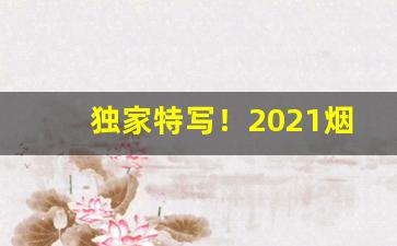 独家特写！2021烟批发全国货到付款价目表“拜恩私室”