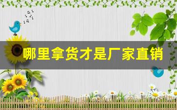 哪里拿货才是厂家直销的-厂家直销货源拿货