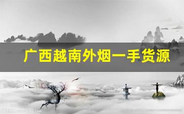 广西越南外烟一手货源批发-广西香烟越南代工