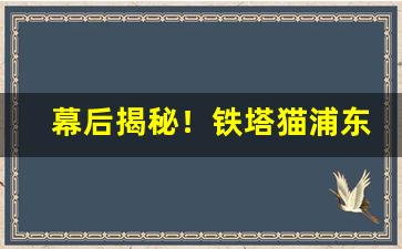 幕后揭秘！铁塔猫浦东机场代购“打偏手”