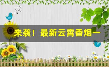 来袭！最新云霄香烟一手货源供应“窗明几亮”