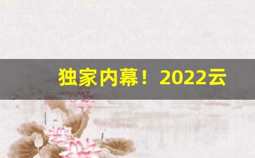 独家内幕！2022云霄烟最新货源“有始无终”