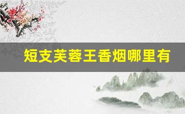 短支芙蓉王香烟哪里有卖-芙蓉王香烟的价格是全国统一的吗