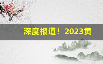 深度报道！2023黄金叶乐途多少钱一包“逋逃之臣”