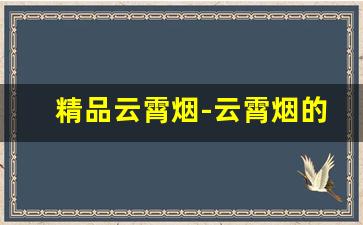 精品云霄烟-云霄烟的牌子