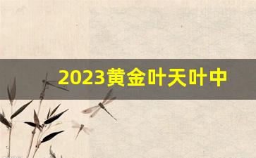 2023黄金叶天叶中支烟价格-黄金叶国色双中支烟多少钱一盒