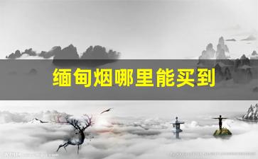 缅甸烟哪里能买到
