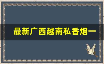 最新广西越南私香烟一手货源-越南进口香烟多少条一箱