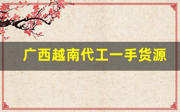 广西越南代工一手货源-海外代工厂一手货源