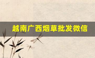 越南广西烟草批发微信-越南烟草多少钱一包