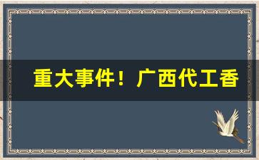 重大事件！广西代工香烟厂家批发“布帆无恙”