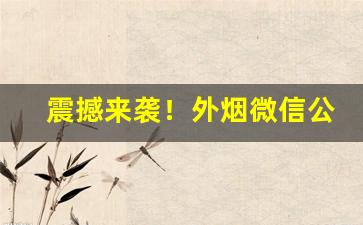 震撼来袭！外烟微信公众号“措颜无地”