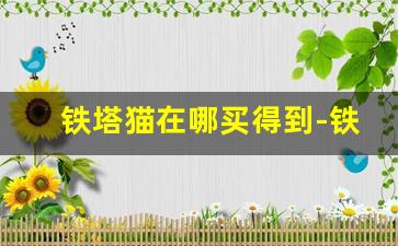 铁塔猫在哪买得到-铁塔猫一般哪里有得卖