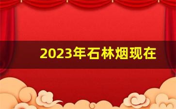 2023年石林烟现在多少钱一包-九三年石林香烟多少钱一盒