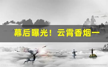 幕后曝光！云霄香烟一手货源——诚信货源排名“稠人广众”