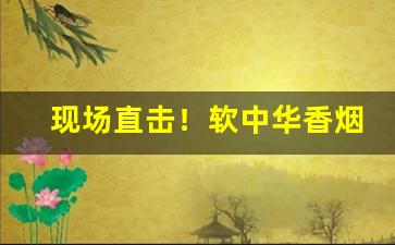 现场直击！软中华香烟出口专供28元“恩重如山”