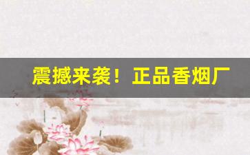 震撼来袭！正品香烟厂家直销“堕溷飘茵”