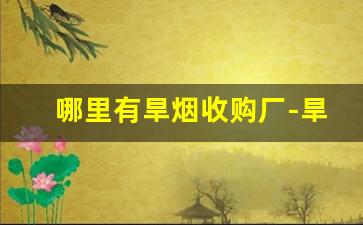 哪里有旱烟收购厂-旱烟收购商合作东北