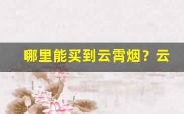 哪里能买到云霄烟？云霄香烟多少钱-云霄香烟价格真的那么便宜吗
