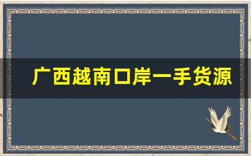 广西越南口岸一手货源-广西越南转口贸易